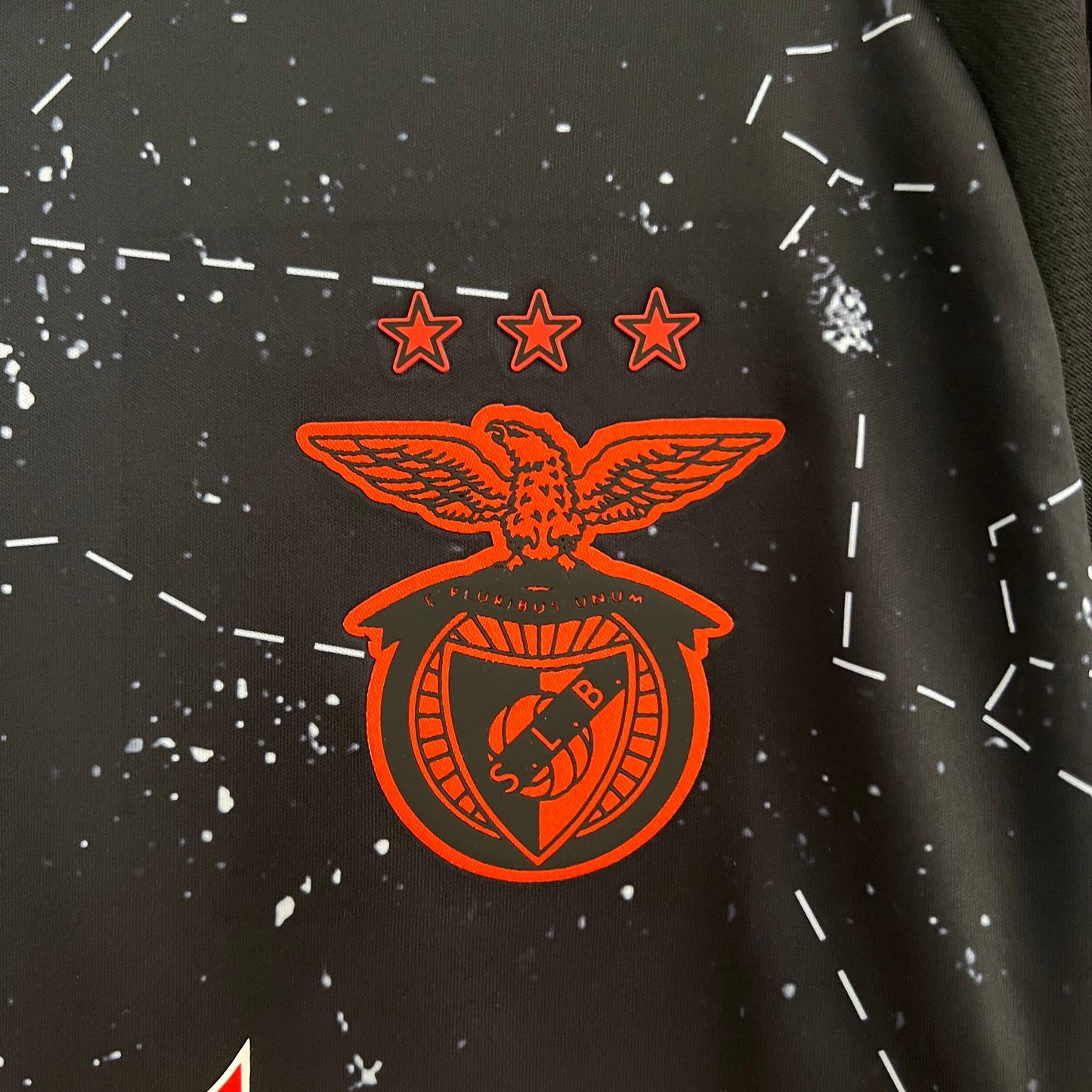 Camisola Secundária SL Benfica - 24/25