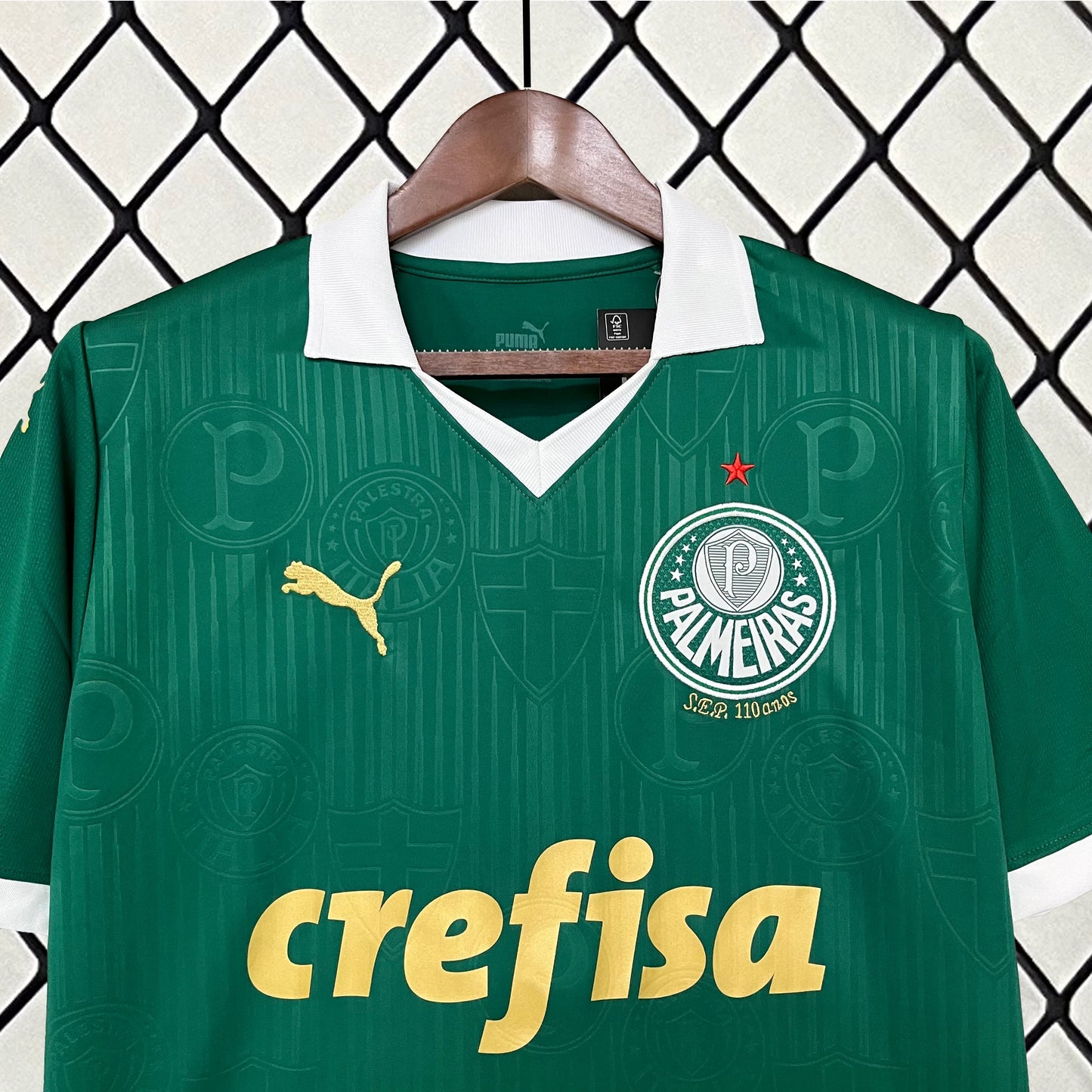 Camisola Palmeiras - 24/25